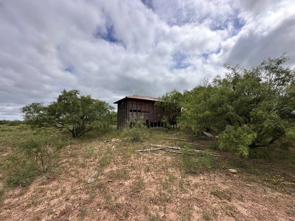 653.54 acres in Schleicher County - photo 6