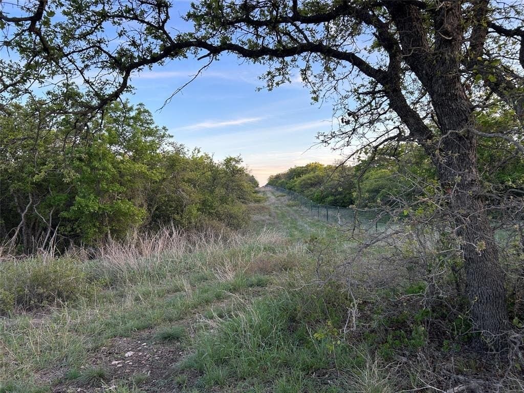 107.35 acres in Mills County gallery image 2