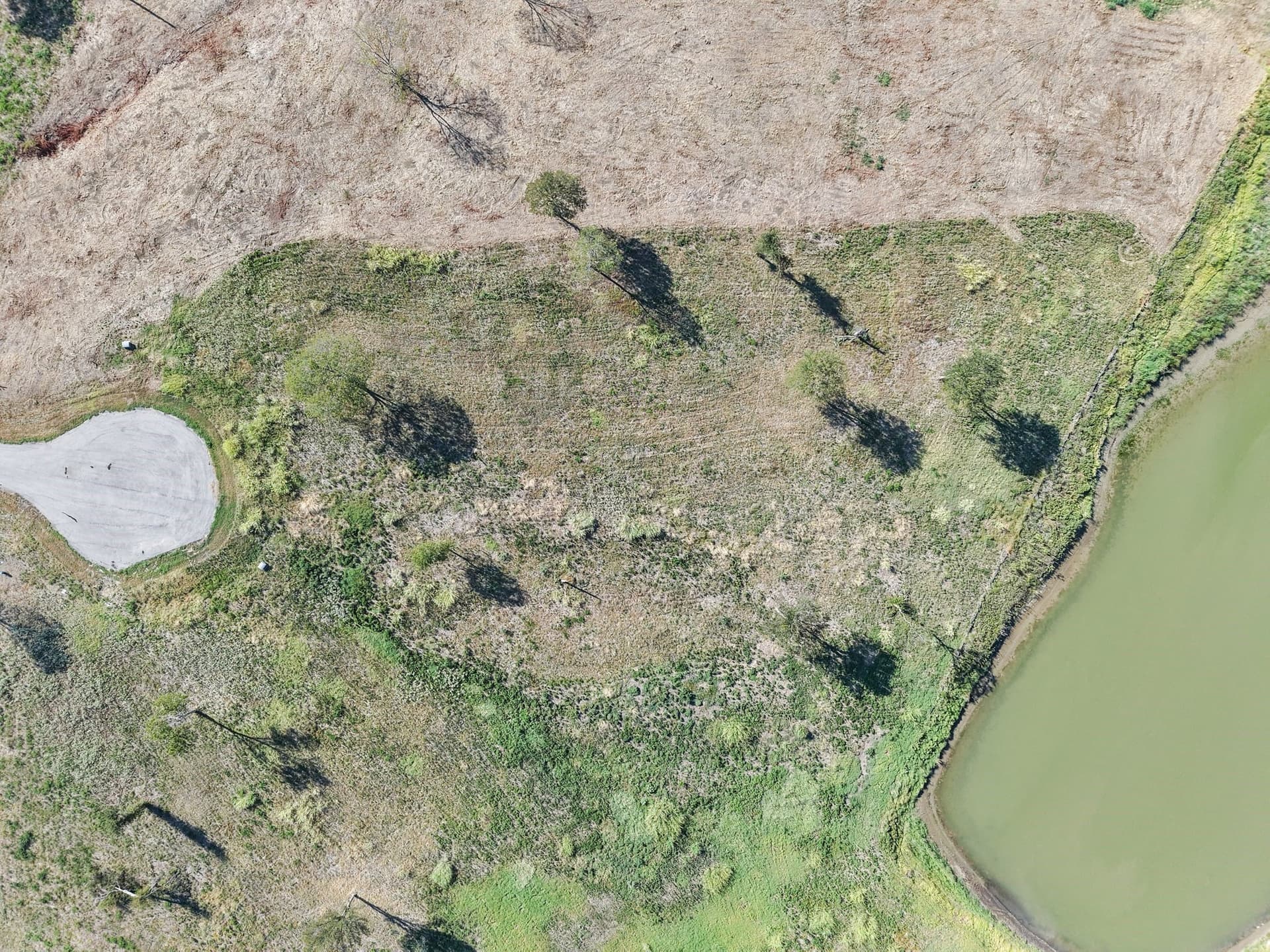 1.2 acres in Navarro County - photo 4