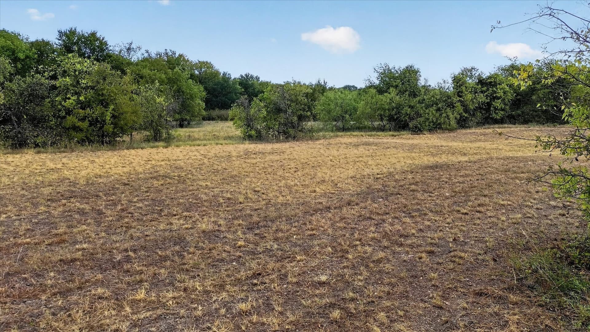 3.96 acres in Hill County - photo 15