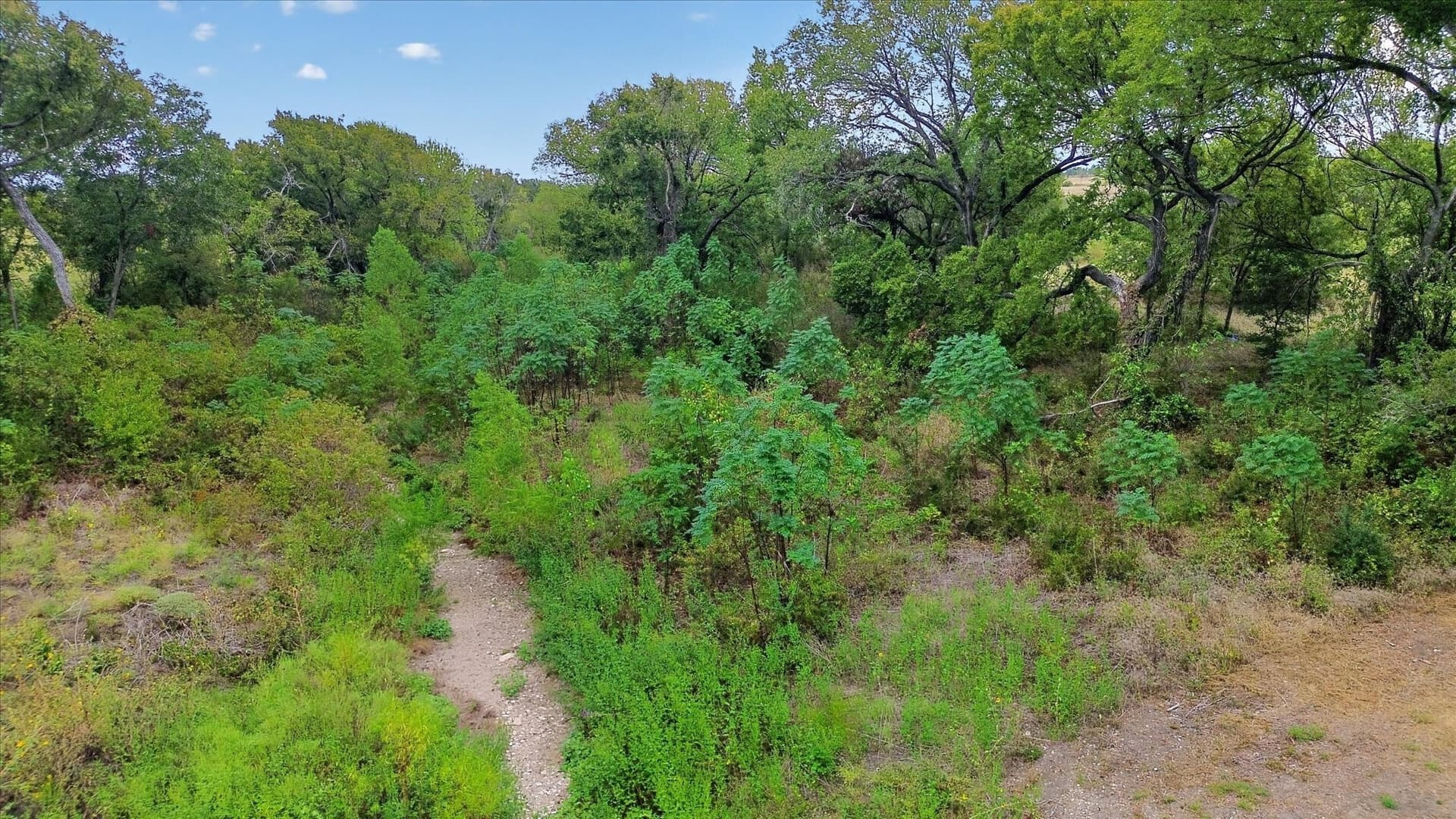 3.96 acres in Hill County - photo 13