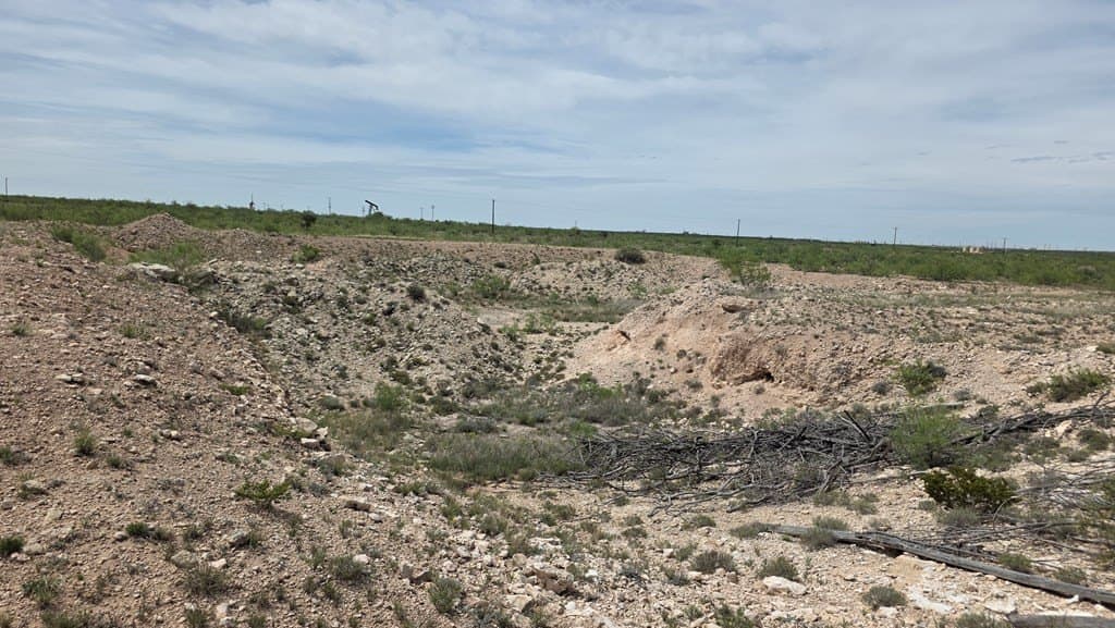 154.8 acres in Midland County featured view