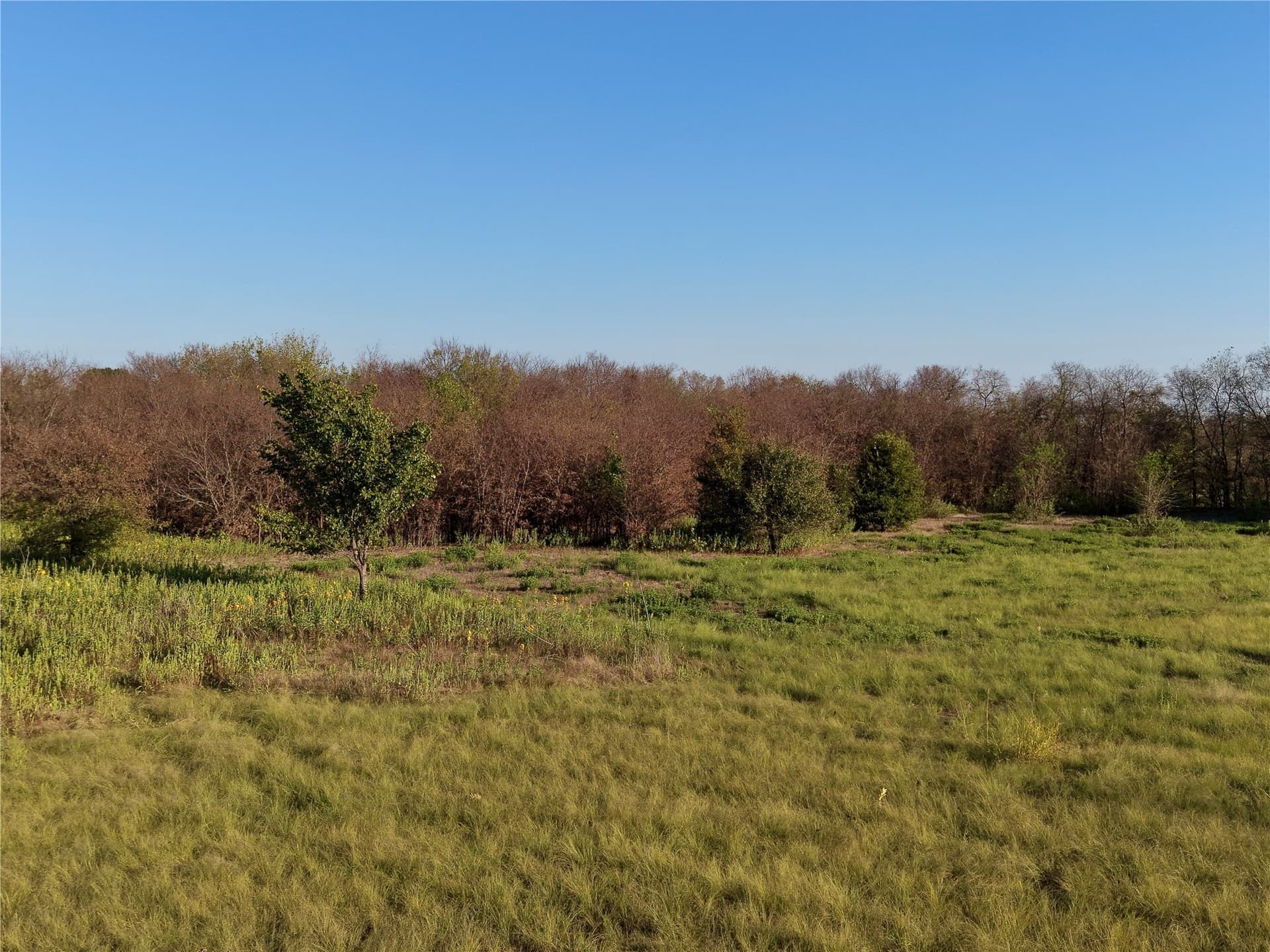 1.22 acres in Denton County - photo 7