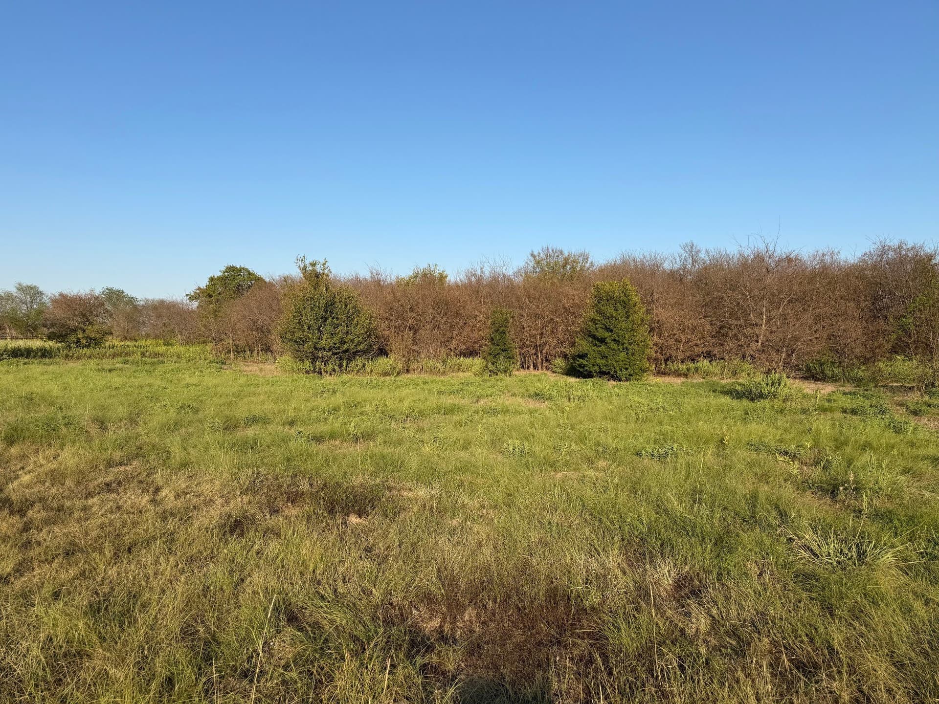 1.22 acres in Denton County - photo 3