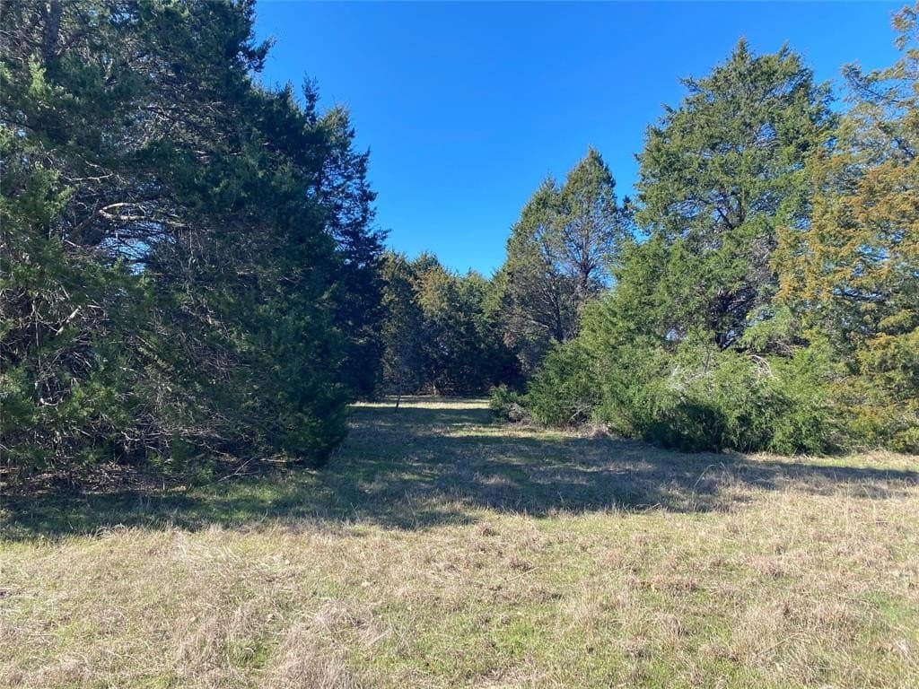 2.81 acres in Navarro County featured view