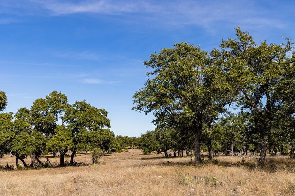 66.84 acres in Kimble County