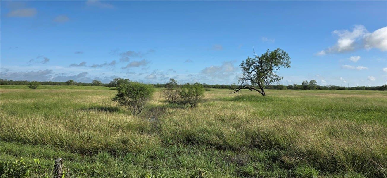 40.58 acres in Jim Wells County gallery image 4