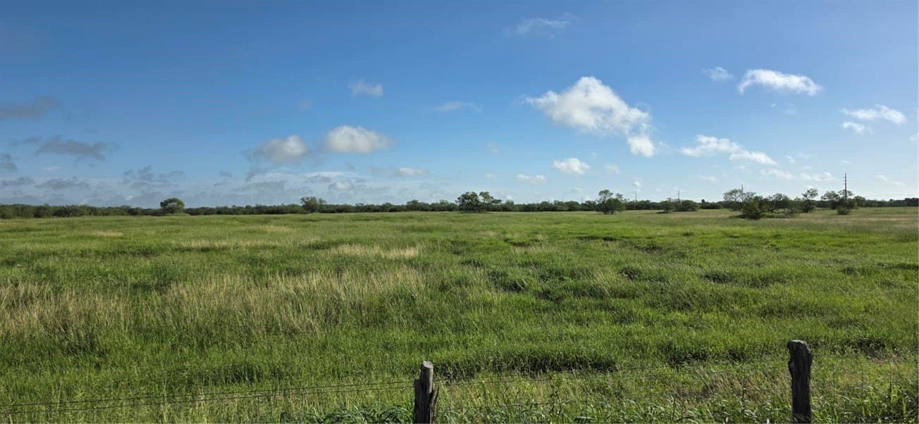 40.58 acres in Jim Wells County gallery image 3