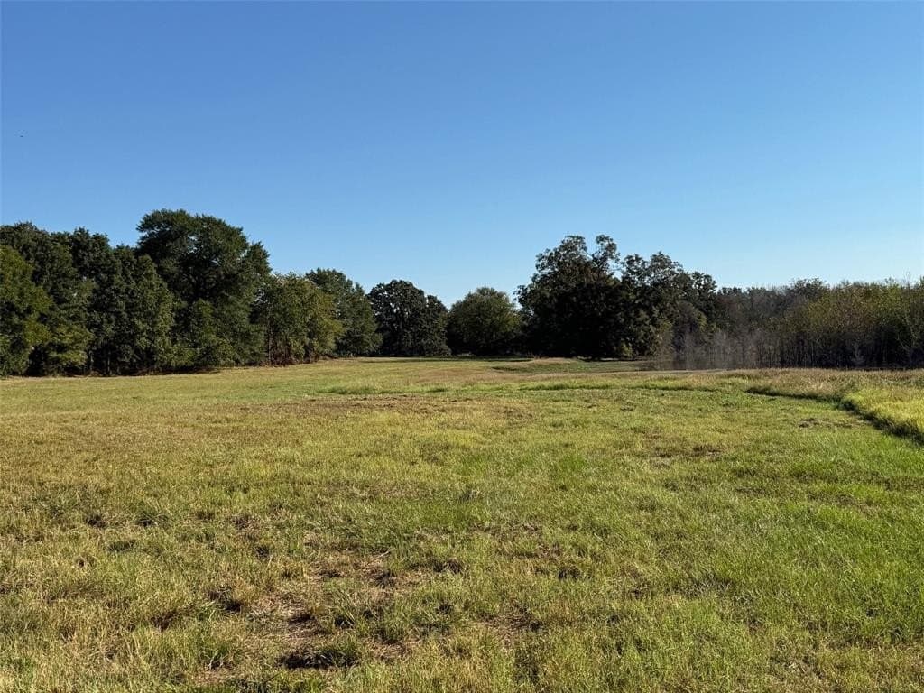 24.08 acres in Fannin County gallery image 4