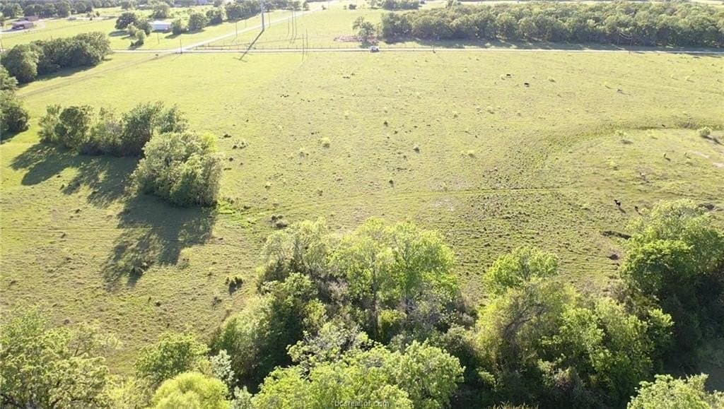5 acres in Madison County gallery image 4