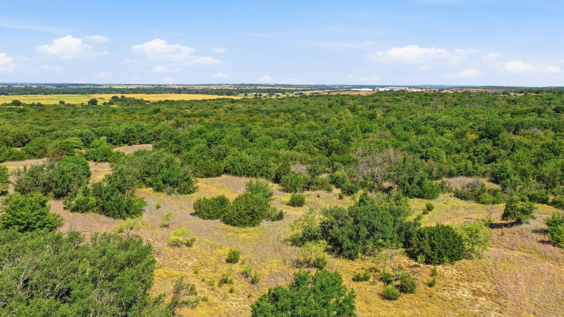 92.99 acres in Erath County - photo 21
