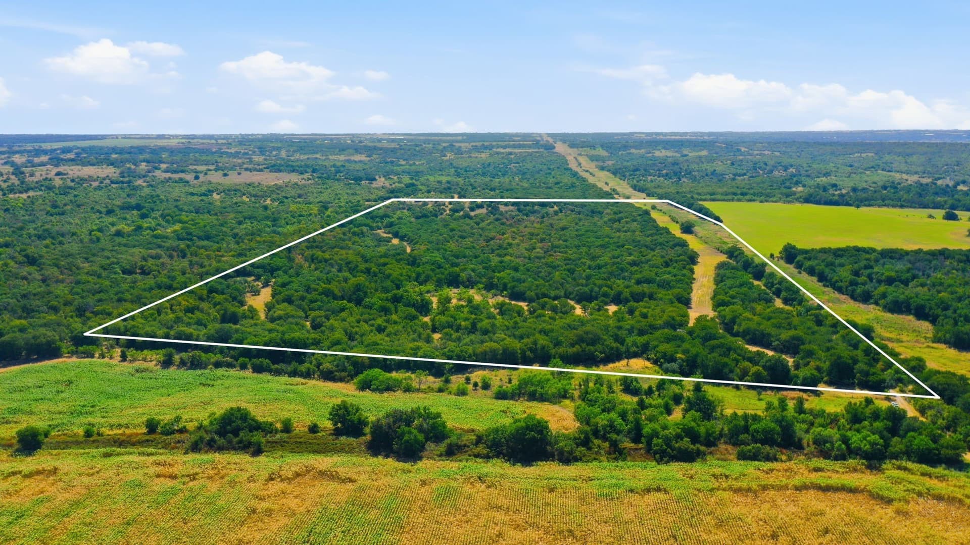 92.99 acres in Erath County - photo 3