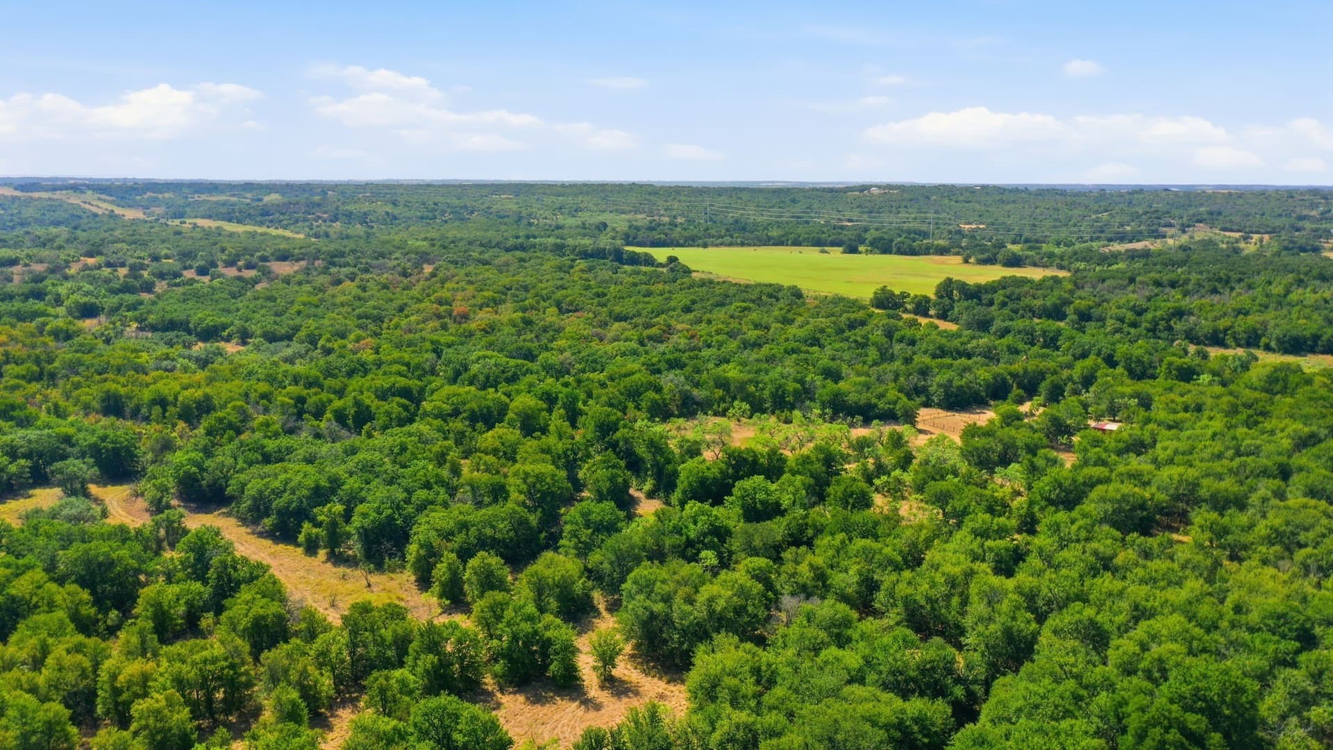 92.99 acres in Erath County - photo 14