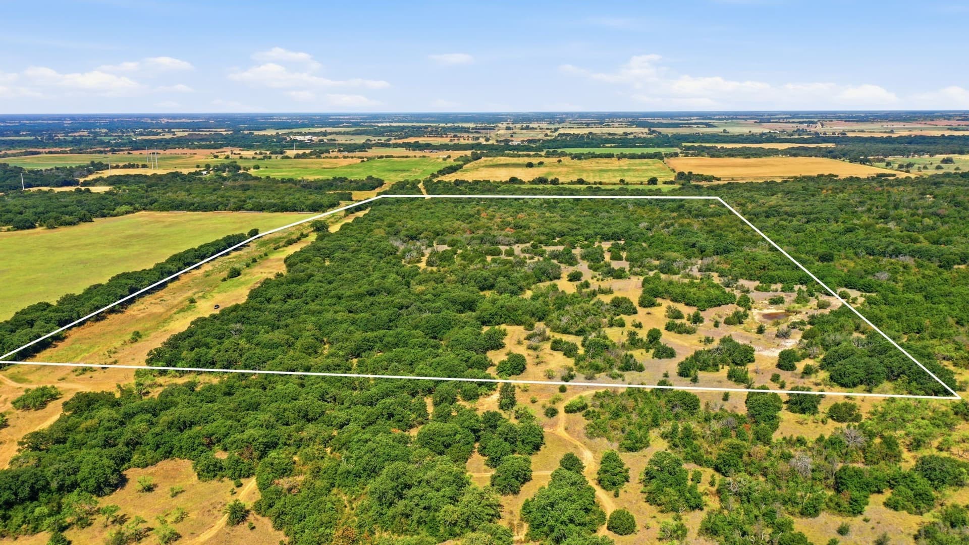 92.99 acres in Erath County - photo 4