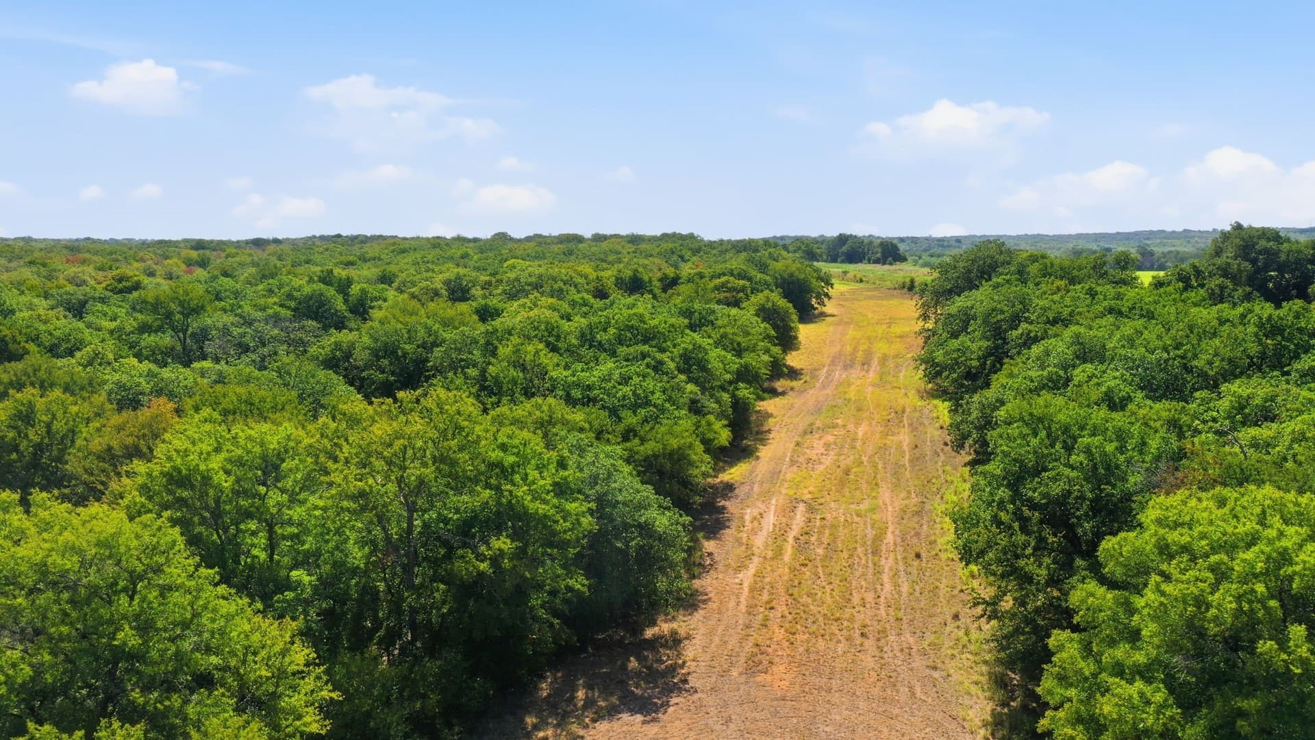 92.99 acres in Erath County - photo 15