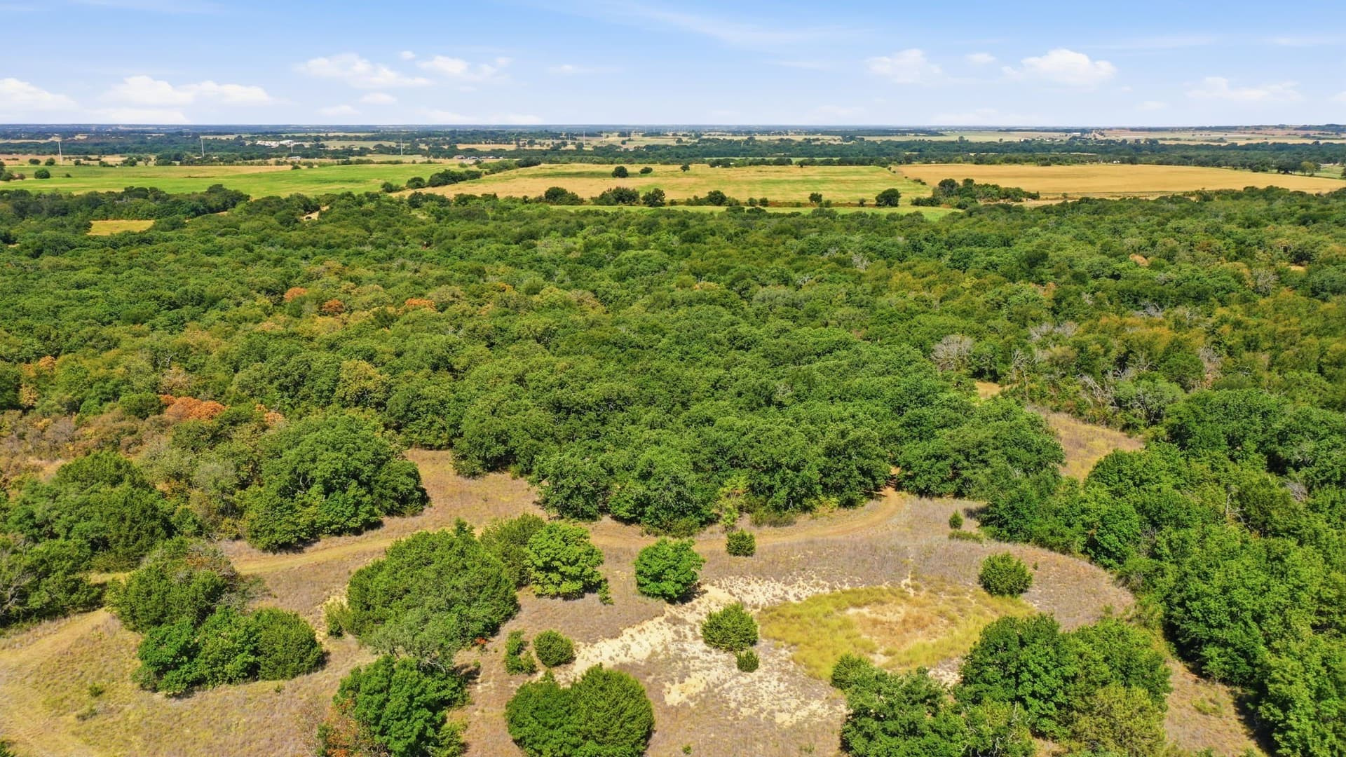92.99 acres in Erath County - photo 22