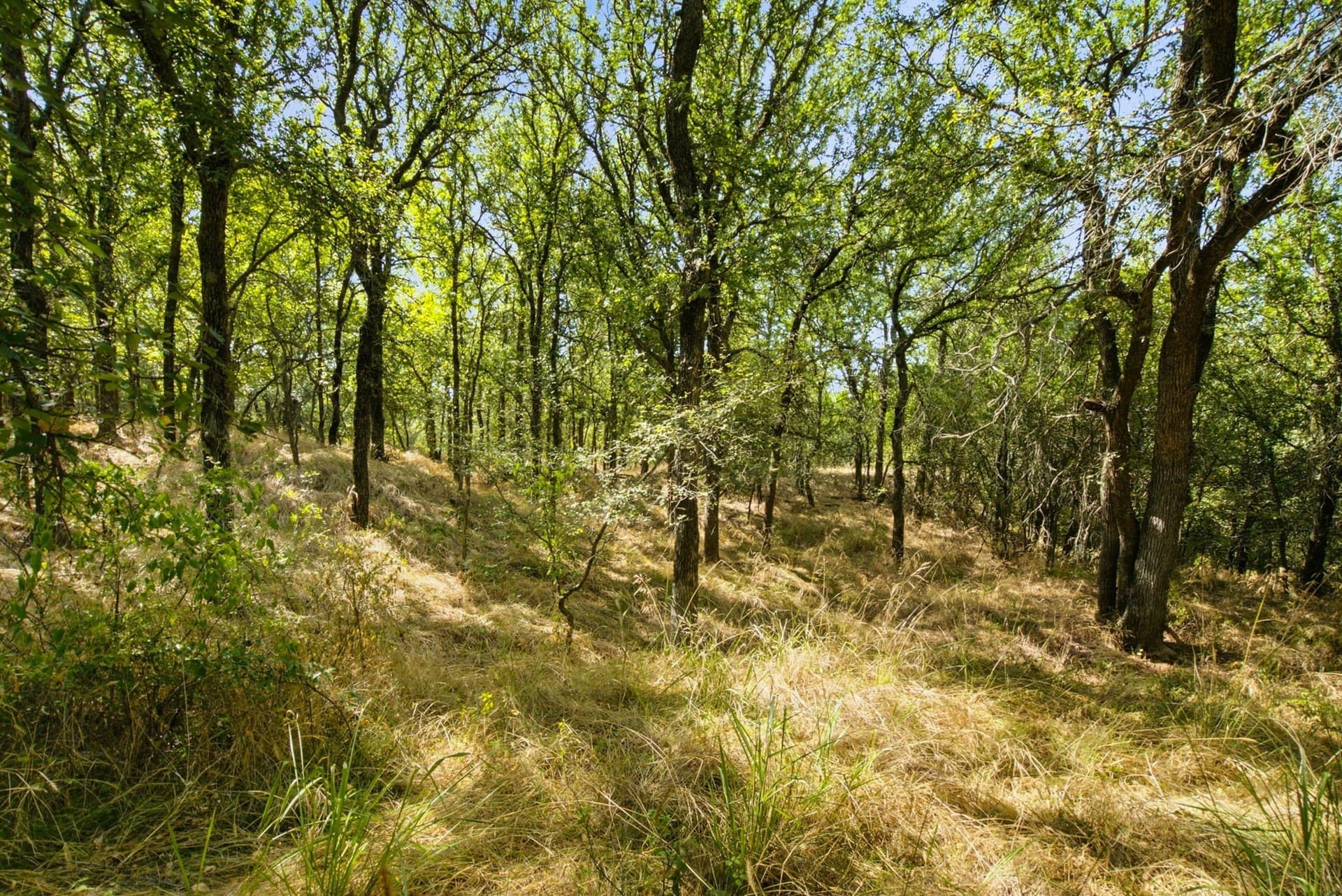 92.99 acres in Erath County - photo 29