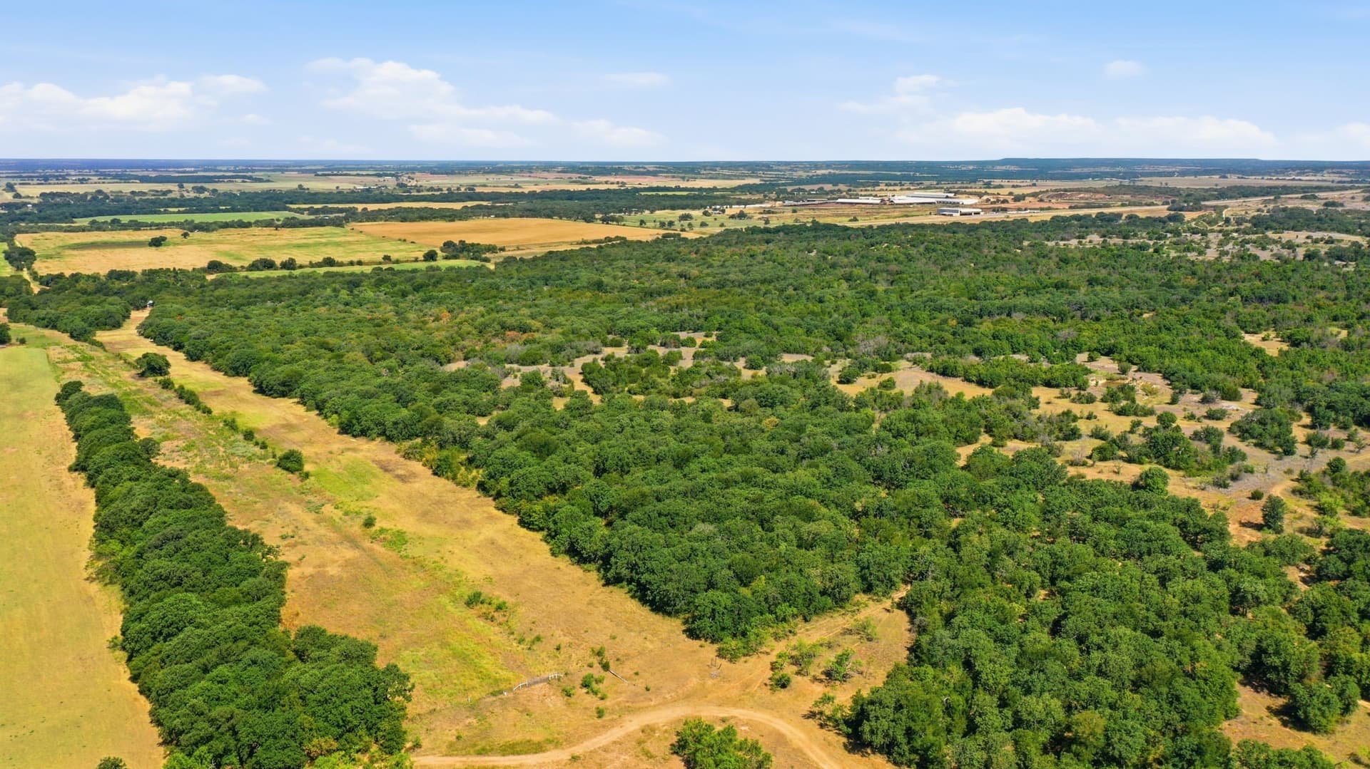 92.99 acres in Erath County - photo 16