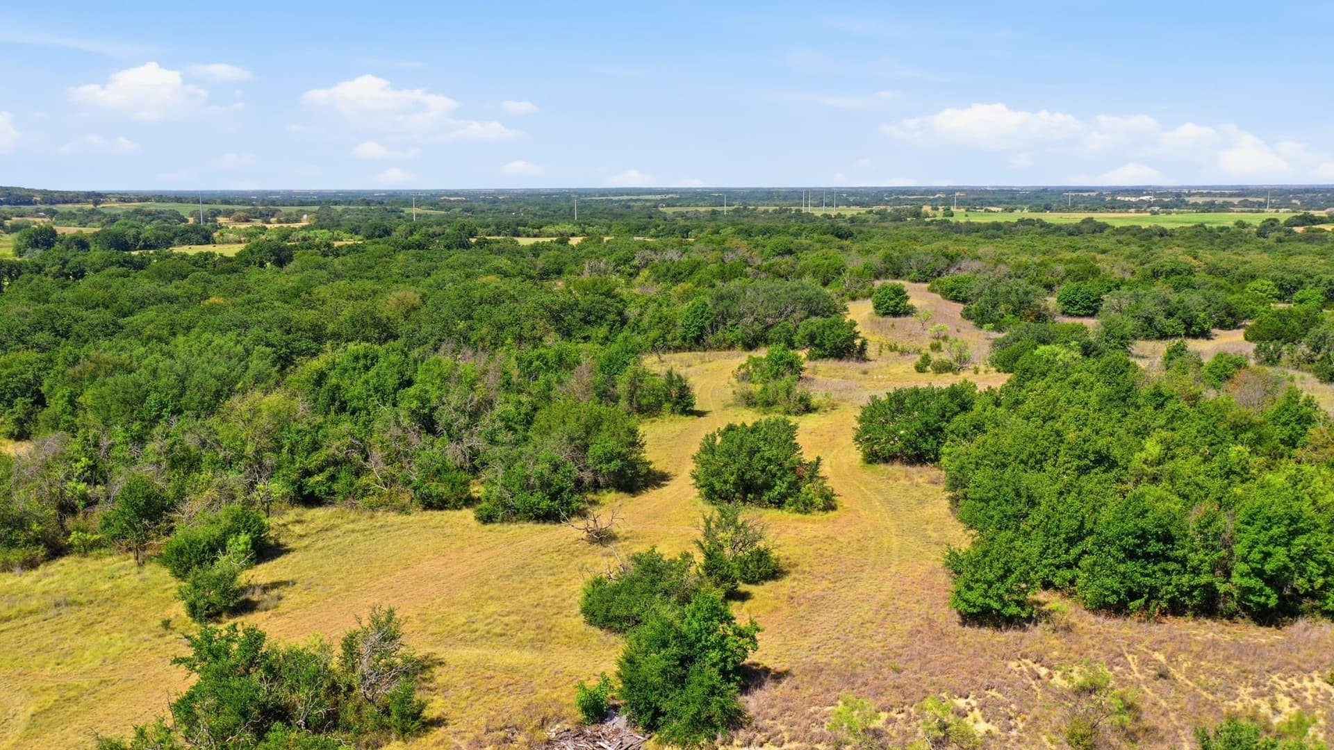 92.99 acres in Erath County - photo 19