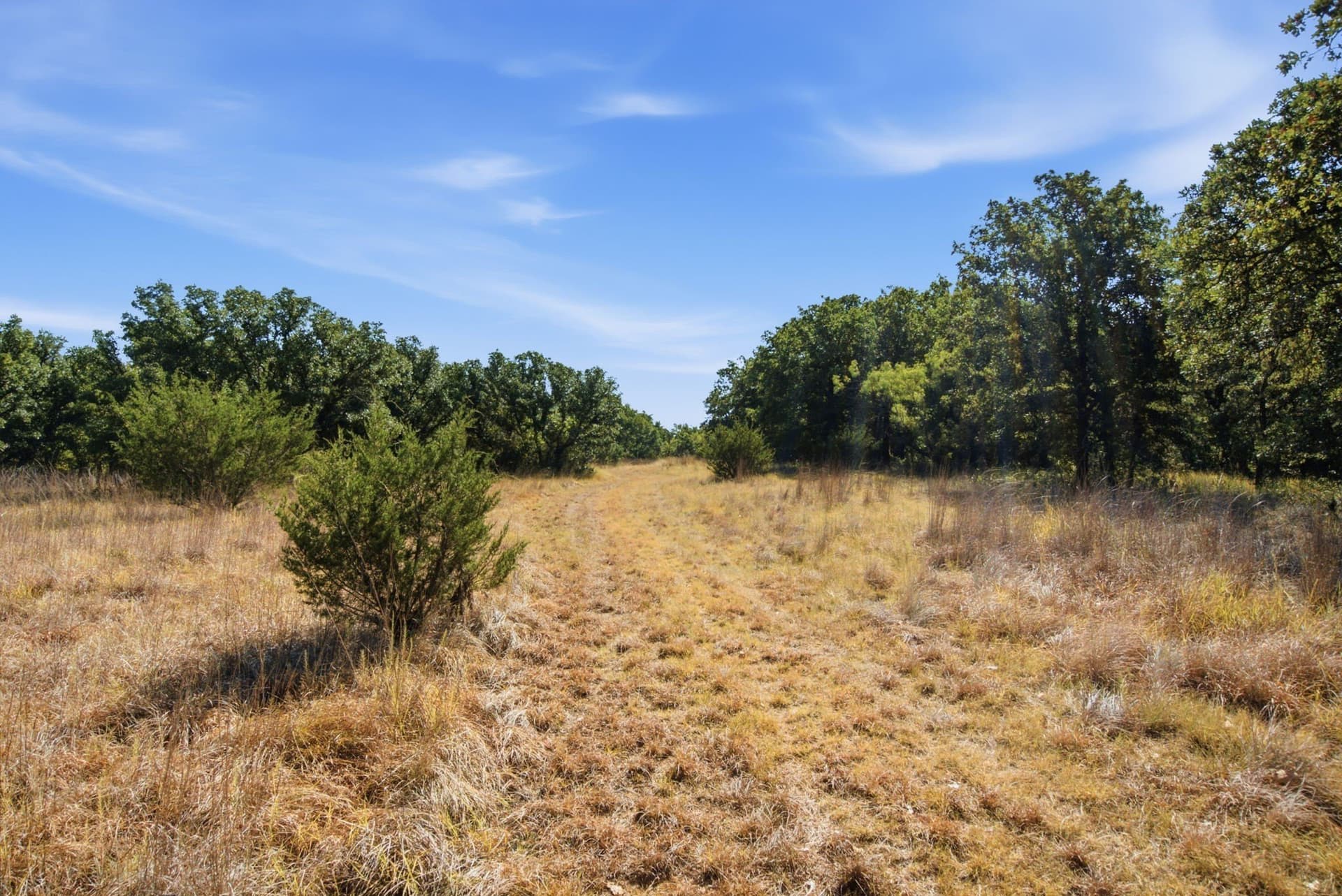 92.99 acres in Erath County - photo 23
