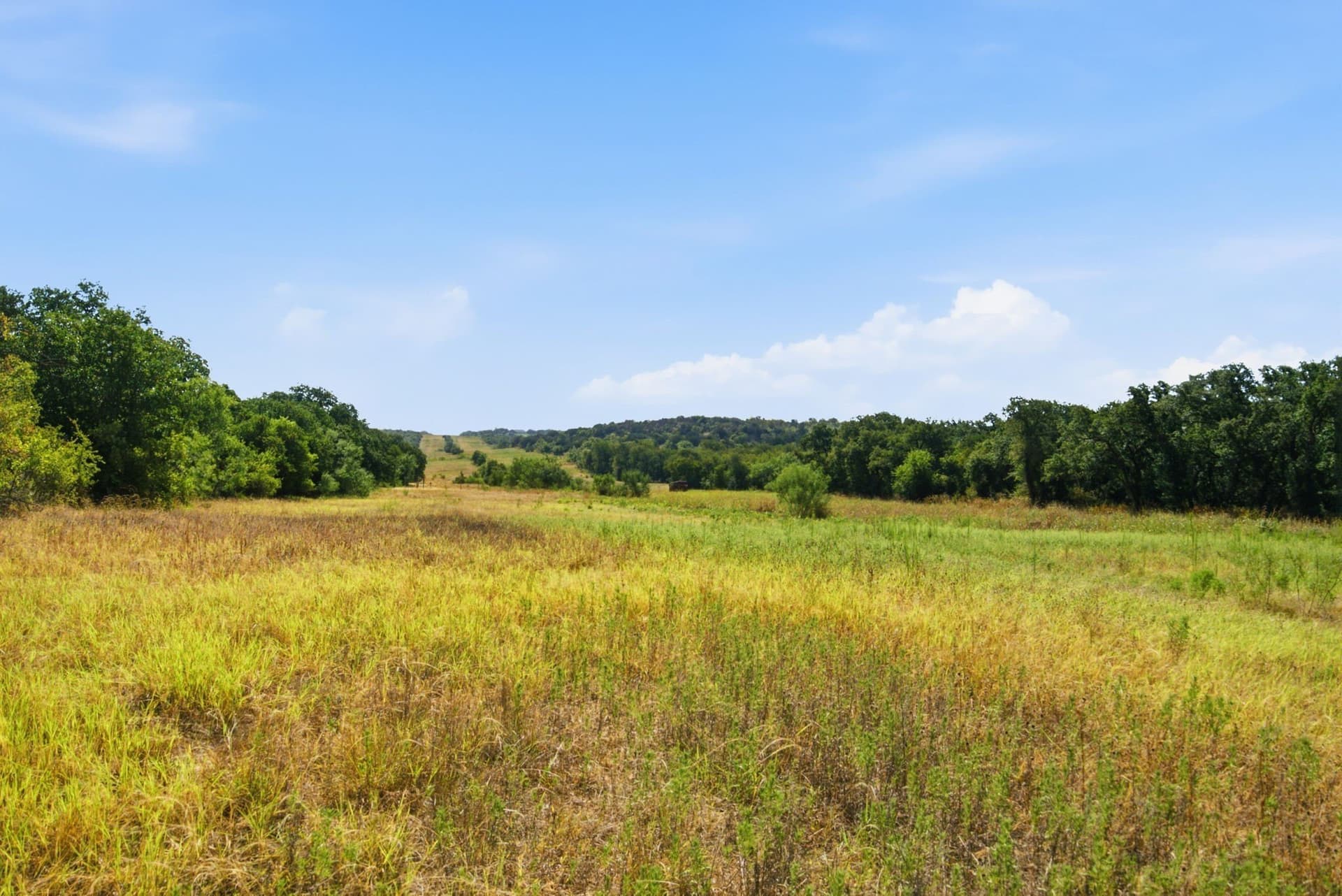 92.99 acres in Erath County - photo 13