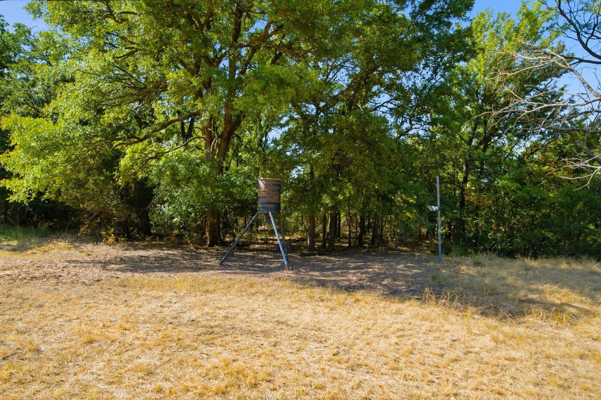 92.99 acres in Erath County - photo 8
