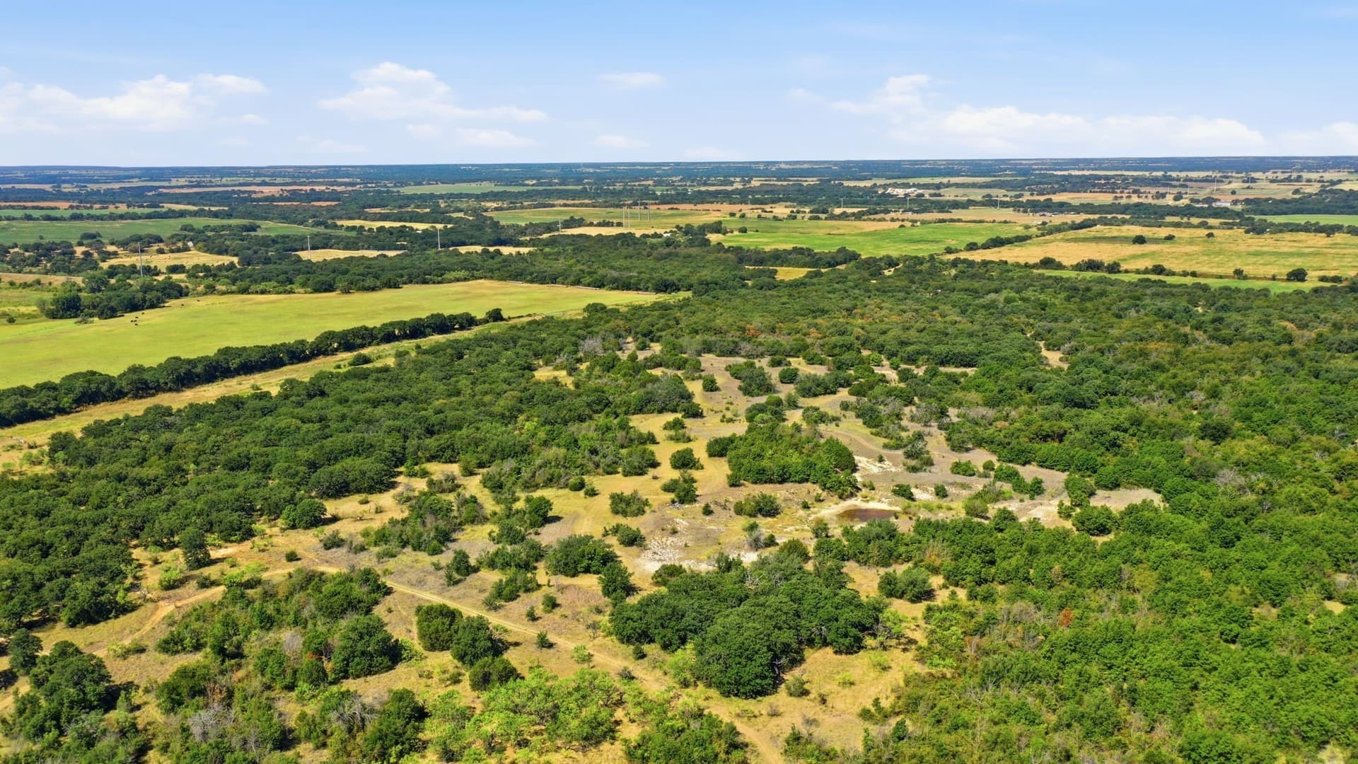 92.99 acres in Erath County - photo 17