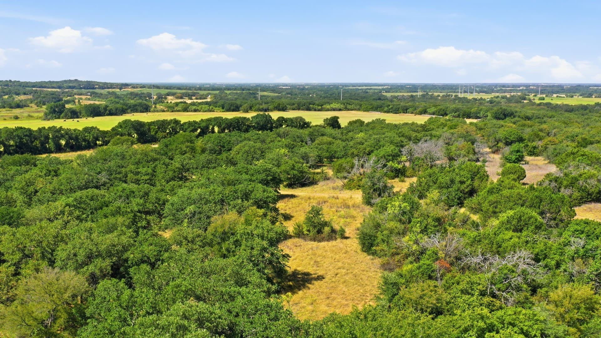 92.99 acres in Erath County - photo 20