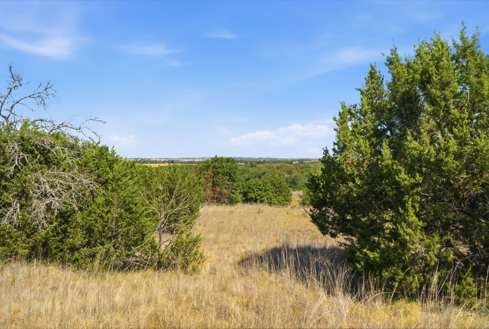 92.99 acres in Erath County - photo 24