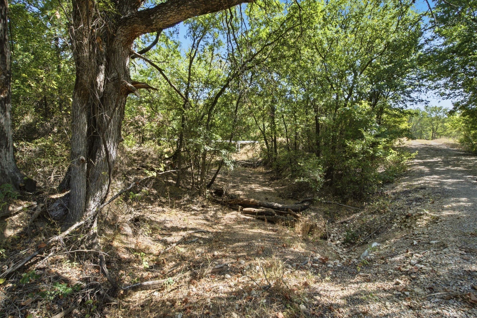 92.99 acres in Erath County - photo 26