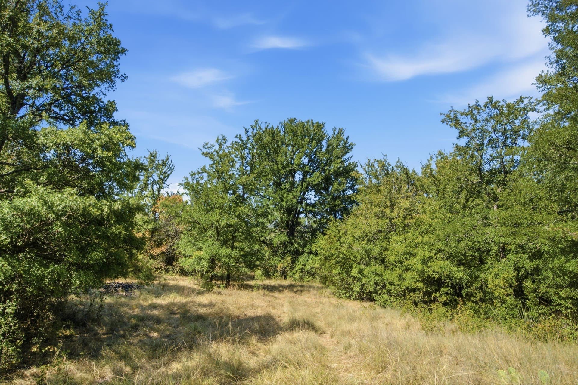 92.99 acres in Erath County - photo 28