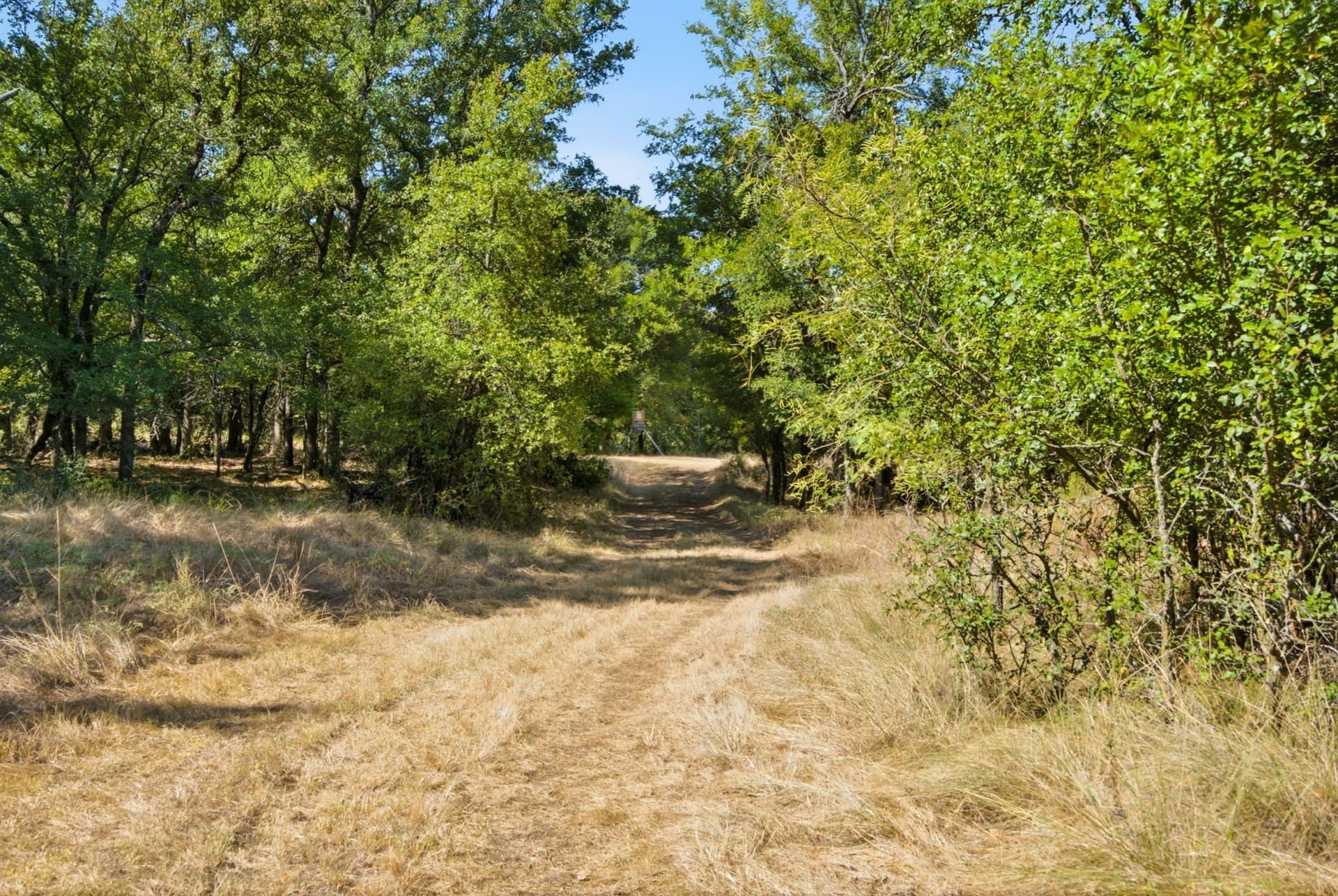 92.99 acres in Erath County - photo 12