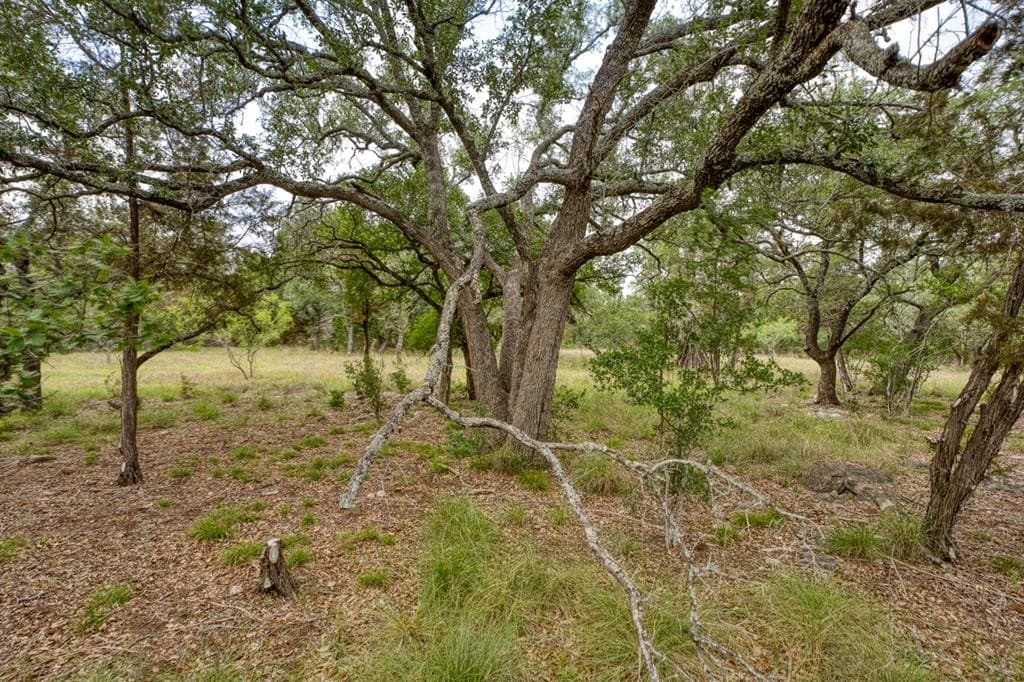 4.94 acres in Blanco County - photo 19