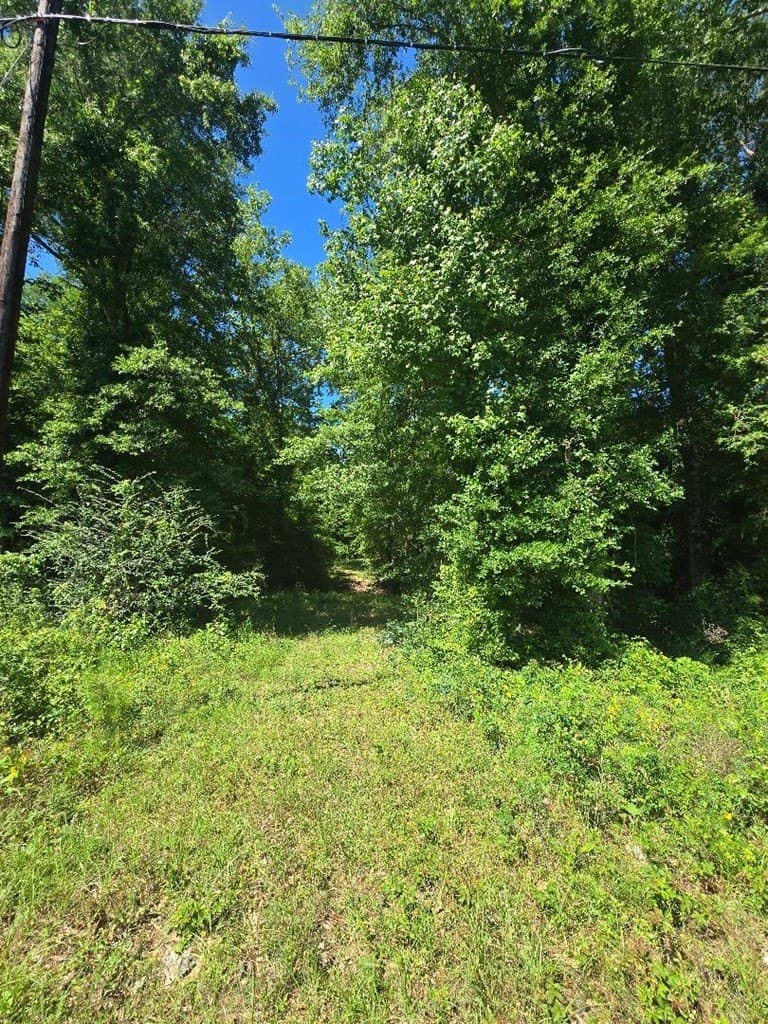 4.65 acres in Texas County - photo 7
