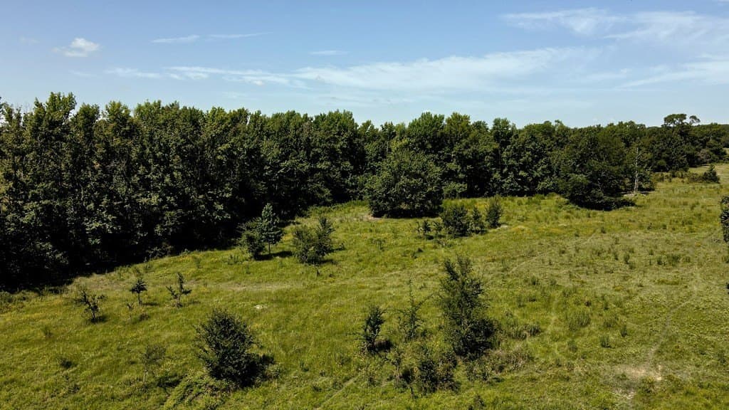 48.64 acres in Henderson County - photo 22