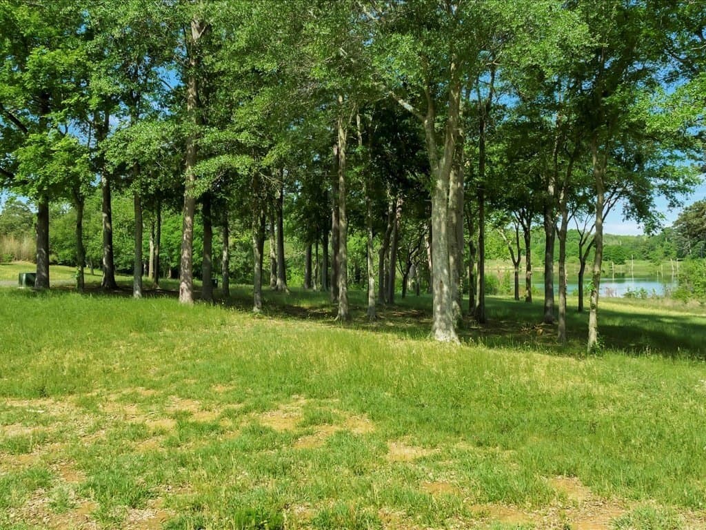 0.71 acres in Texas County - photo 4