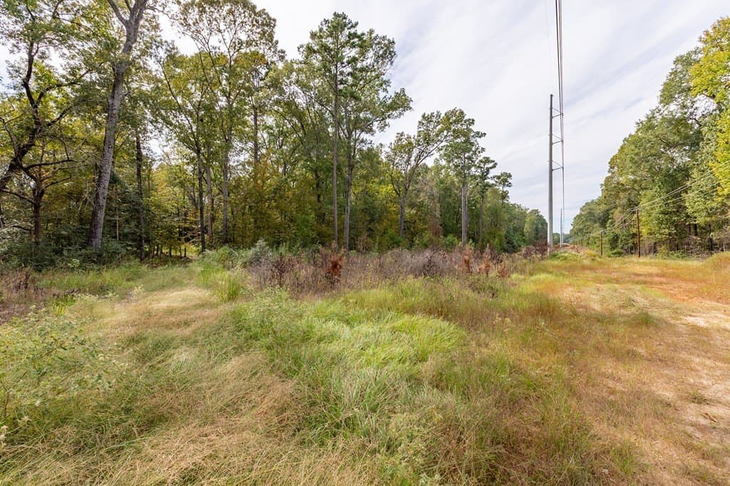 19.82 acres in Texas County featured view