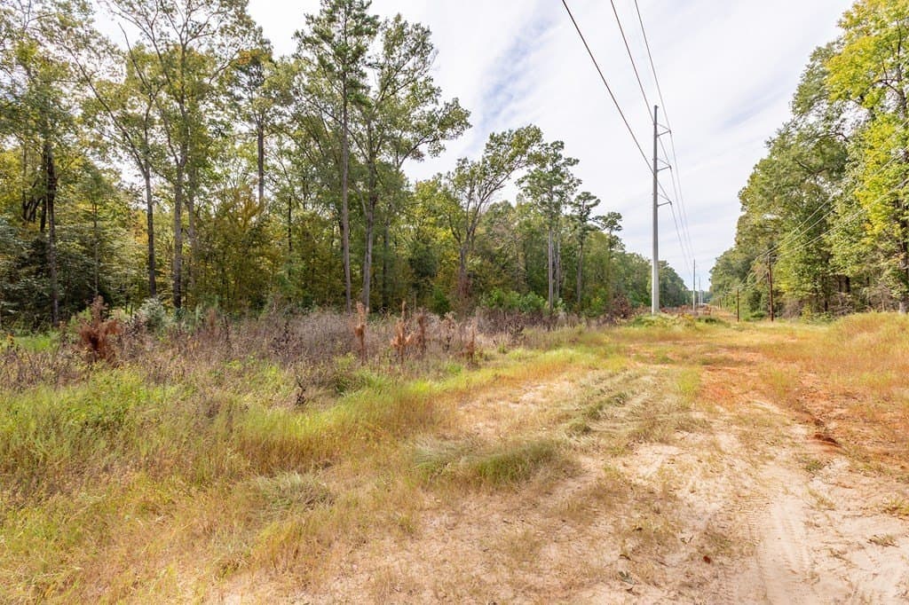 19.82 acres in Texas County gallery image 4
