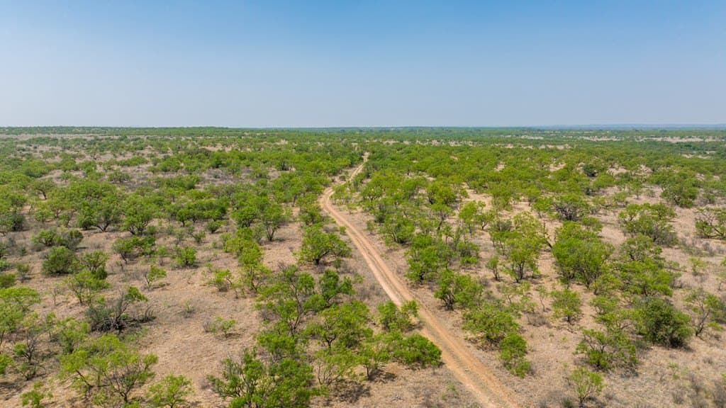 1,145 acres in Coleman County - photo 14