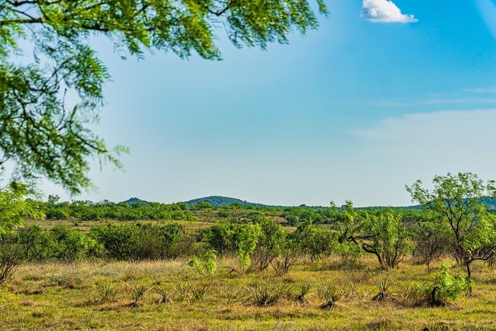 1,145 acres in Coleman County gallery image 4