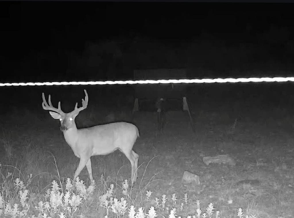 1,145 acres in Coleman County - photo 23