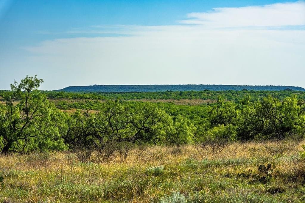 1,145 acres in Coleman County - photo 8