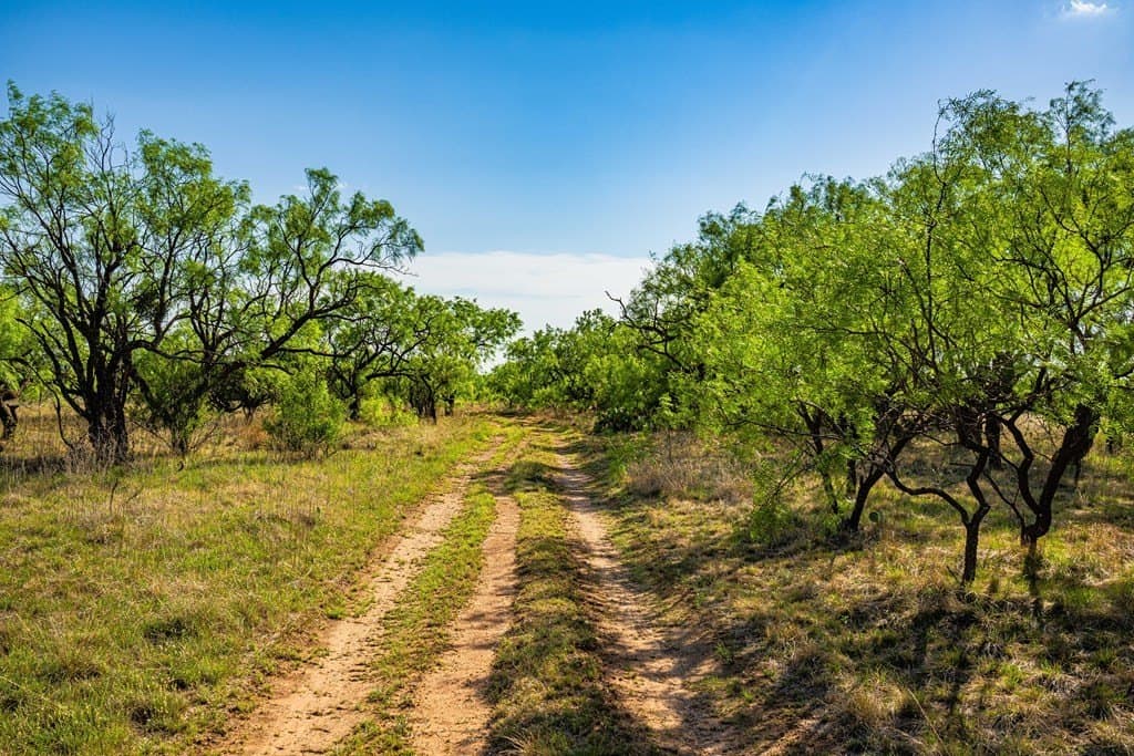1,145 acres in Coleman County - photo 10
