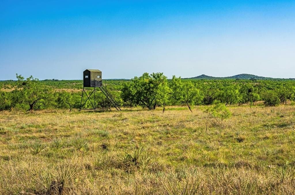 1,145 acres in Coleman County - photo 16