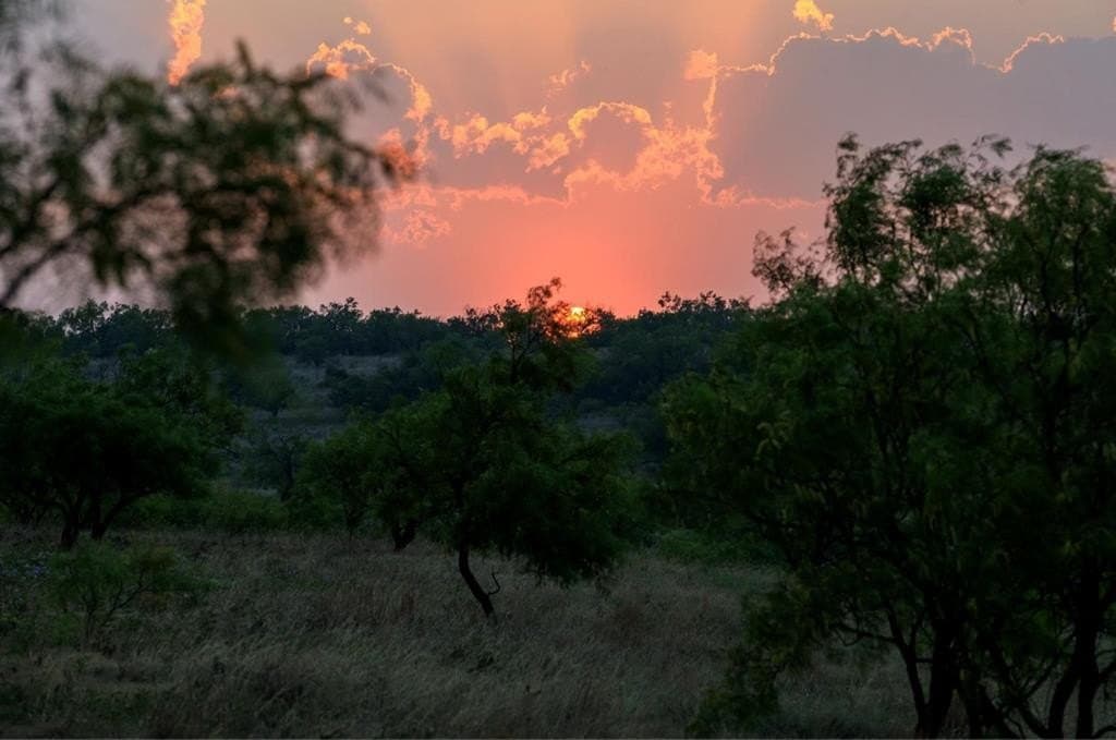 1,145 acres in Coleman County - photo 22