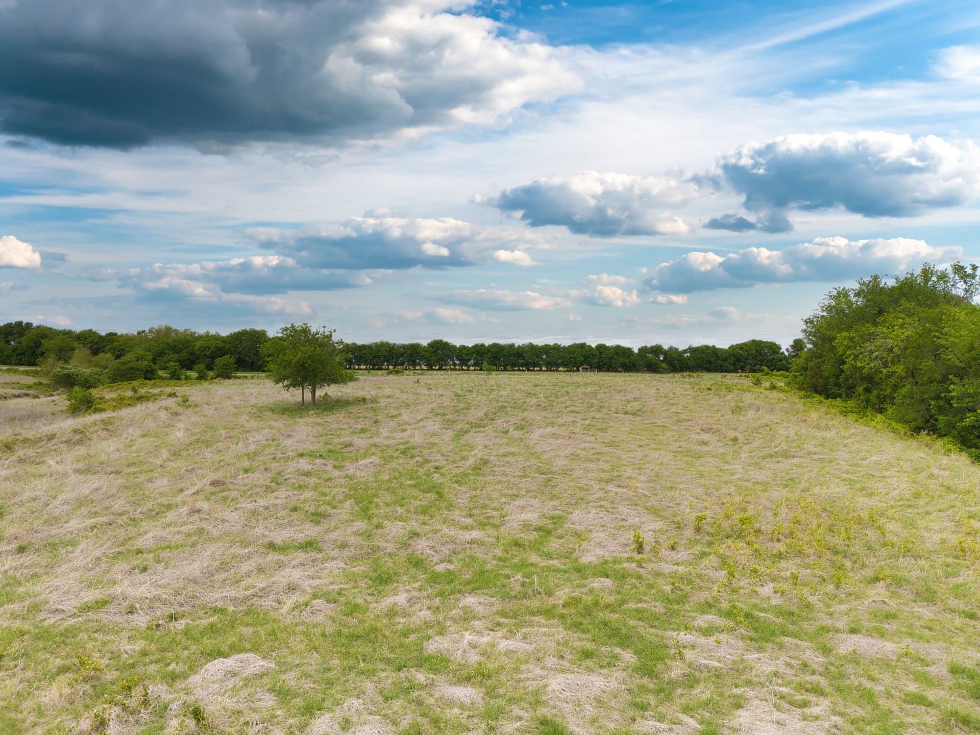 10.01 acres in McLennan County - photo 14