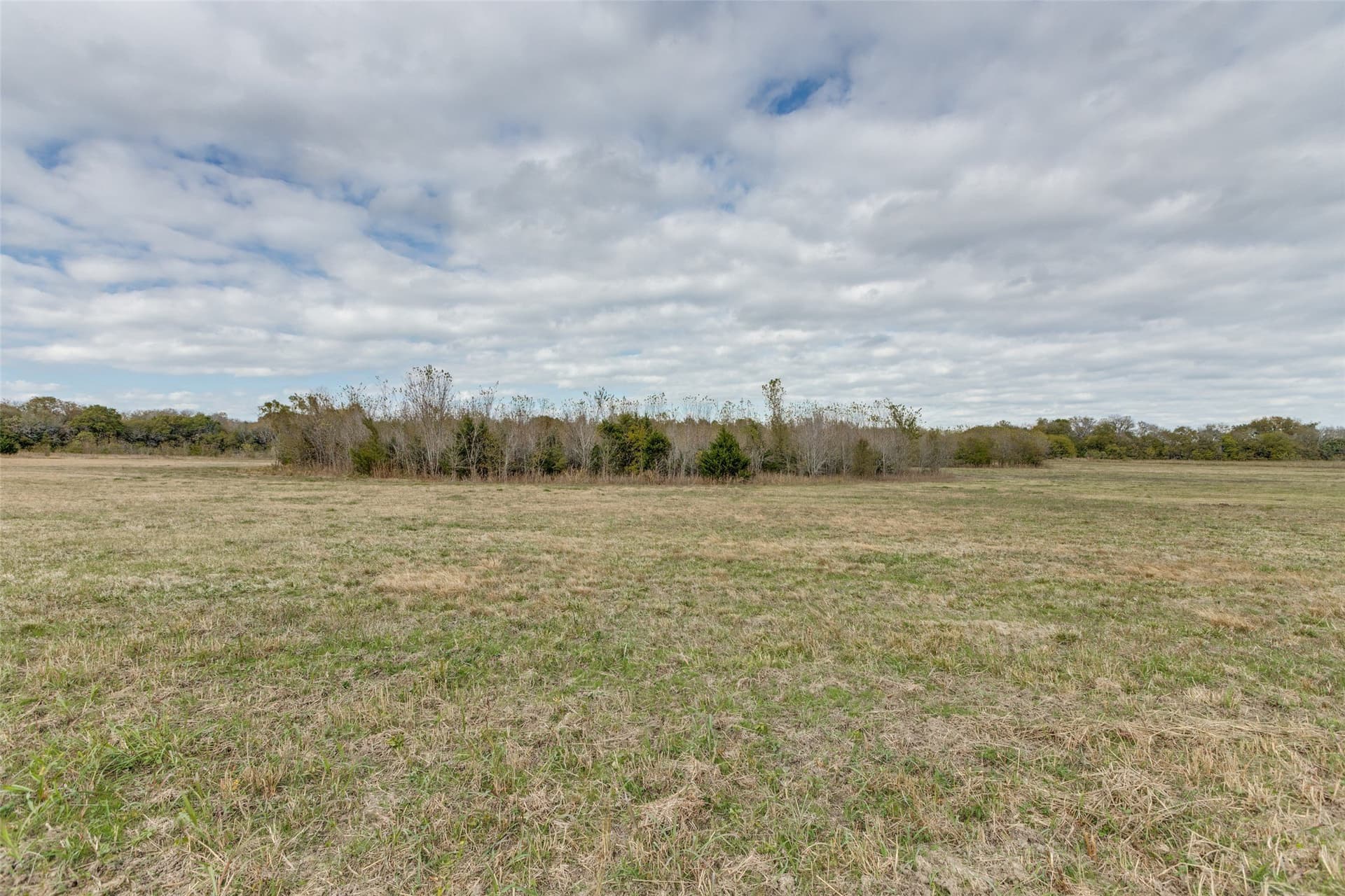 26 acres in Fannin County - photo 7