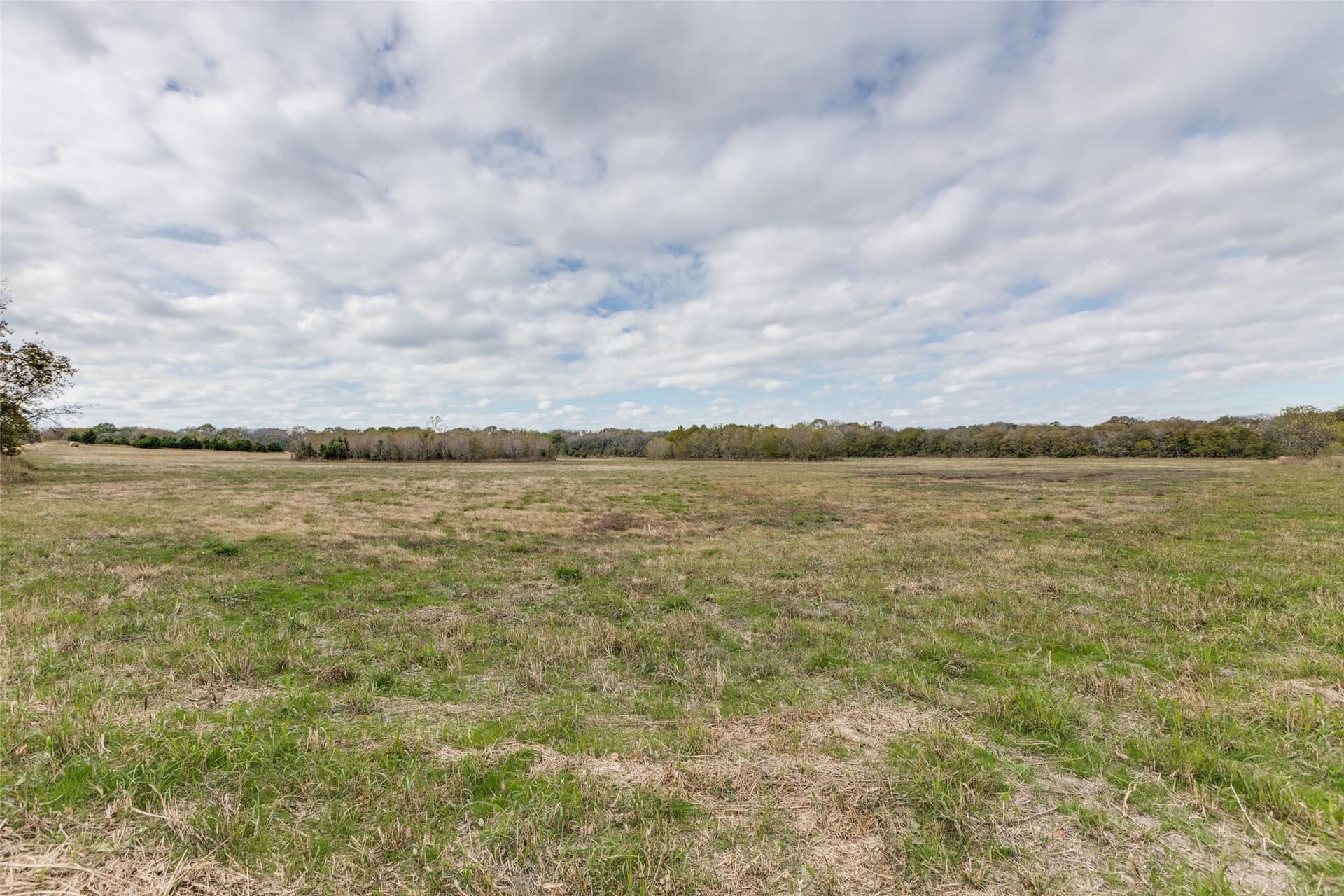 26 acres in Fannin County - photo 6