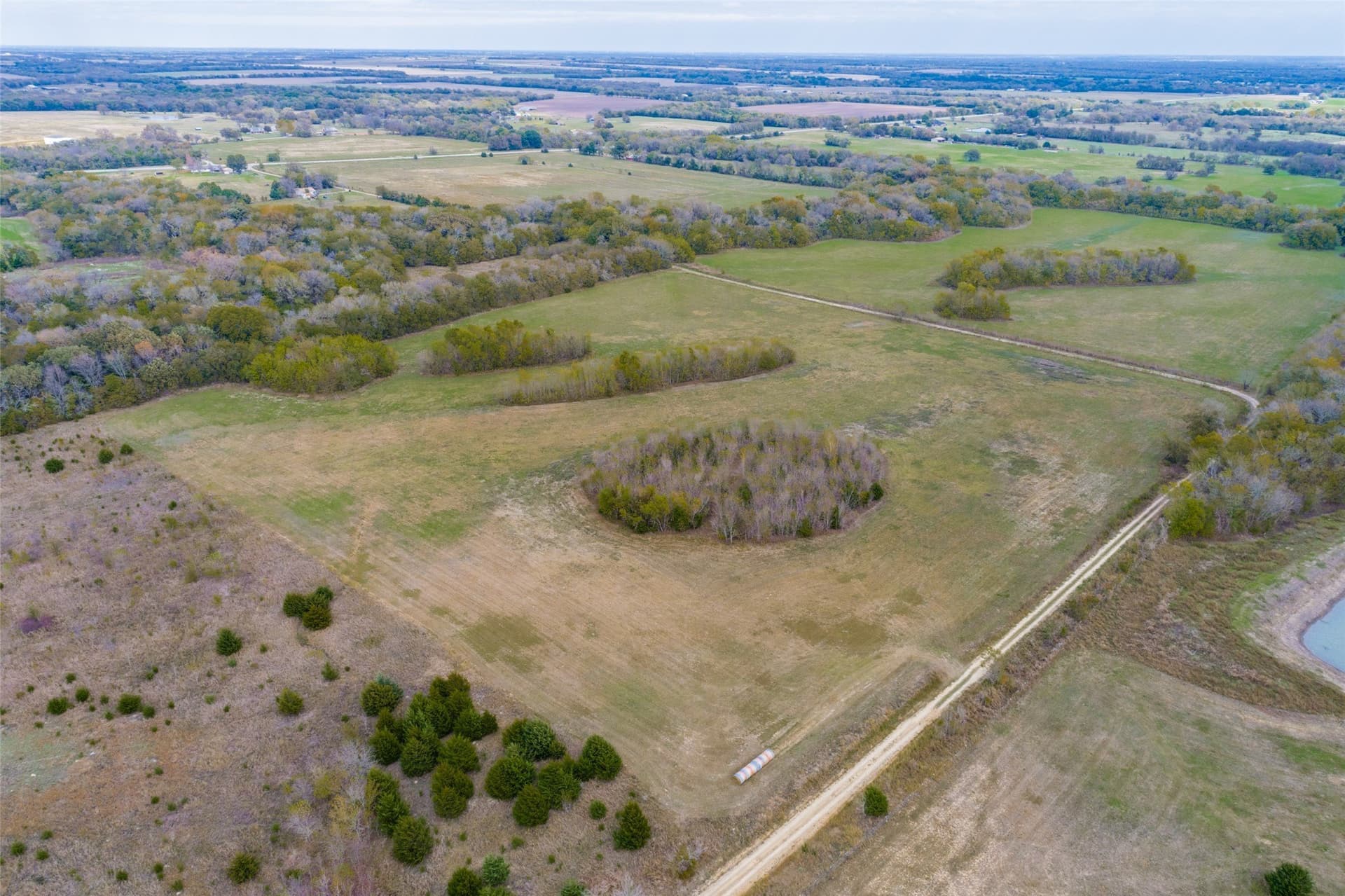 26 acres in Fannin County - photo 5
