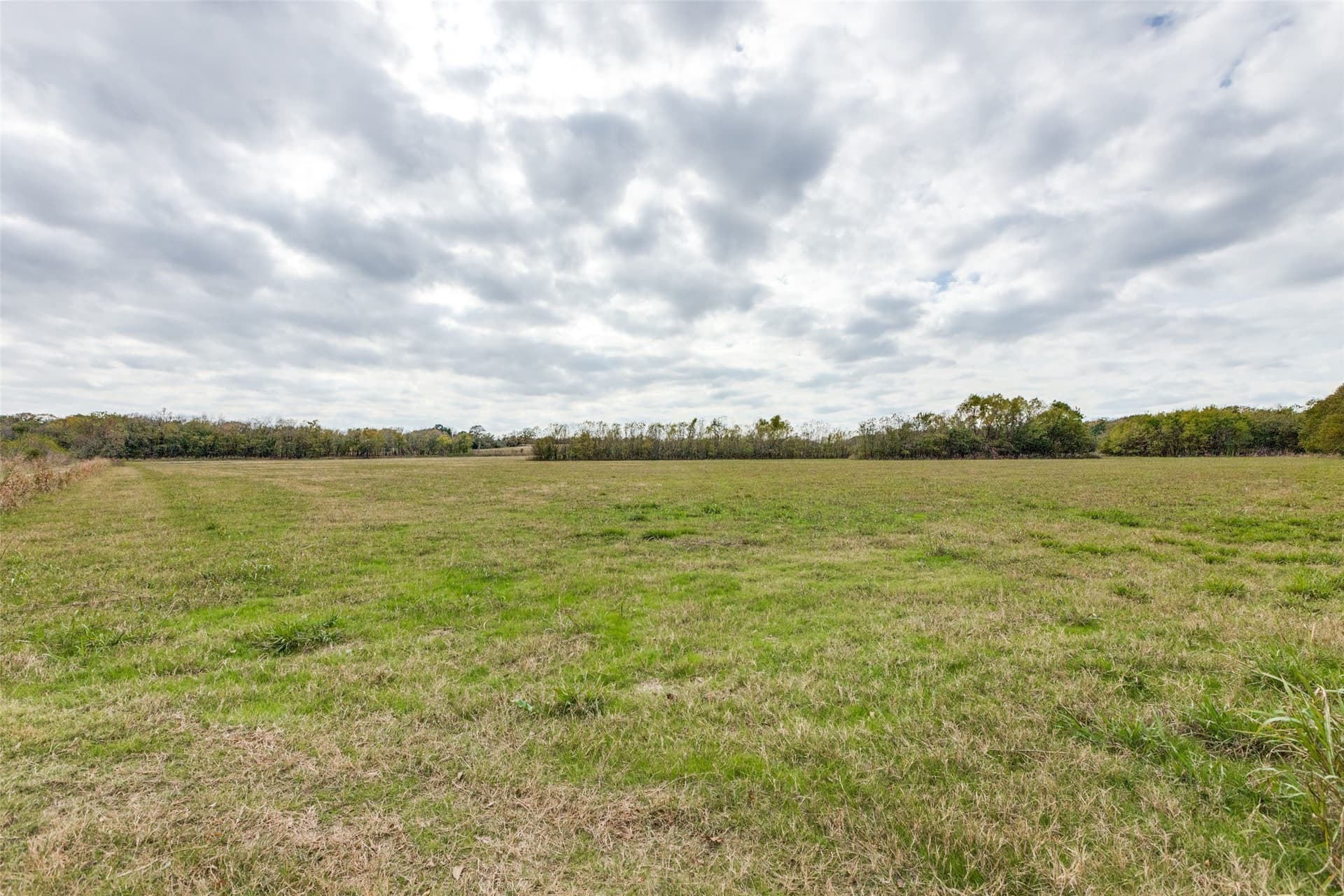 26 acres in Fannin County - photo 12